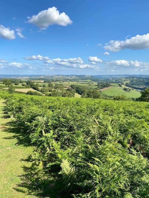 The Mill Stylish Rural Apartment With Beautiful Views Welsh Newton Common 外观 照片