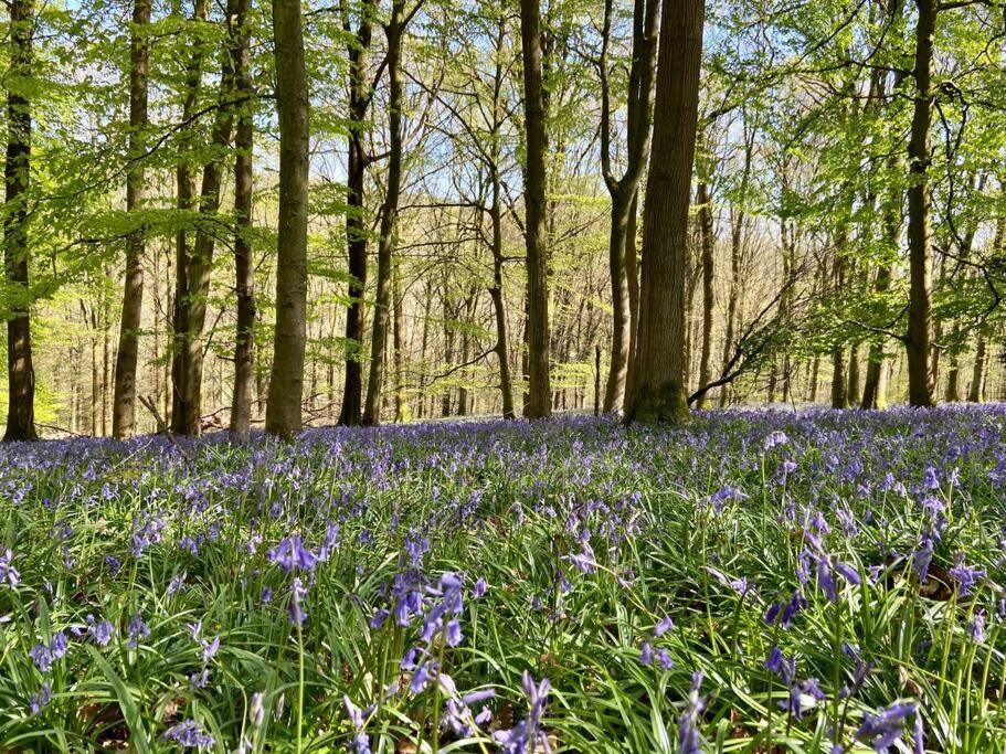 The Mill Stylish Rural Apartment With Beautiful Views Welsh Newton Common 外观 照片