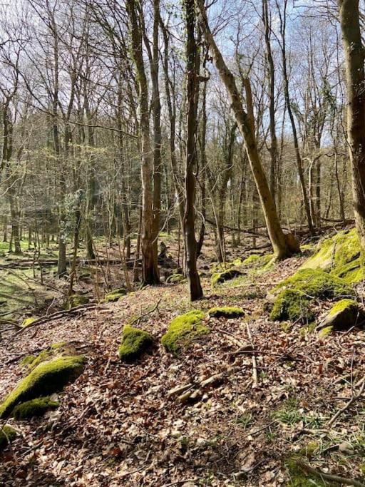 The Mill Stylish Rural Apartment With Beautiful Views Welsh Newton Common 外观 照片