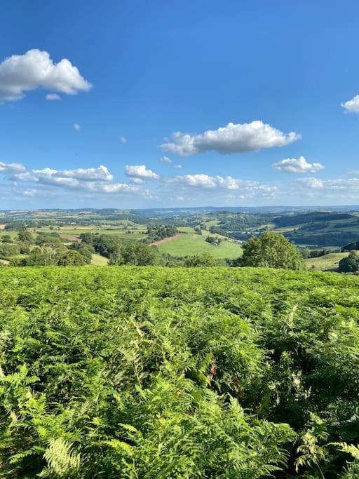 The Mill Stylish Rural Apartment With Beautiful Views Welsh Newton Common 外观 照片